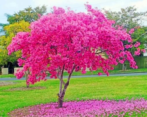 Cherry Tree paint by numbers
