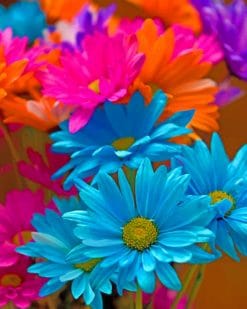 Colorful Daisies Paint by numbers