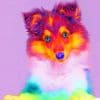 Colorful Pet paint by numbers