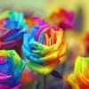 Colorful Roses paint by numbers