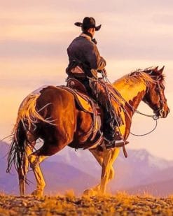 Cowboy On Horse paint by numbers