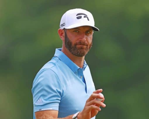 Dustin Johnson paint by numbers