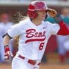 Haylie McCleney Paint by numbers