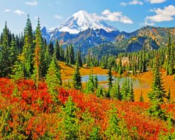 Mount Rainier paint by numbers