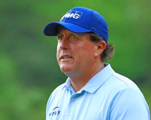 Phil Mickelson paint by numbers