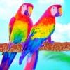 Rainbow Parrots paint by numbers