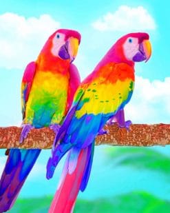 Rainbow Parrots paint by numbers