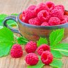 Raspberries In Bowl paint by numbers