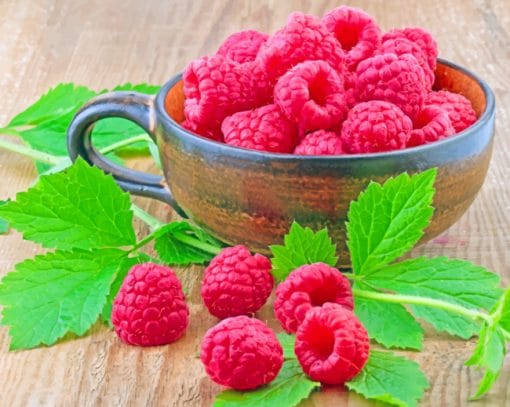 Raspberries In Bowl paint by numbers