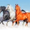 Running Stallion Horses paint by numbers