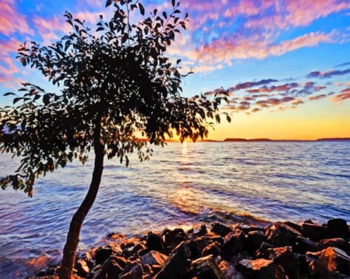 Seaside Tree paint by numbers