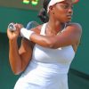 Sloane Stephens Player Paint by numbers