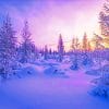 Snowy Winter Scenery paint by numbers