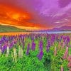 Sunset Lupins Field paint by numbers