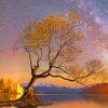 Wanaka Lake Night Sky paint by numbers