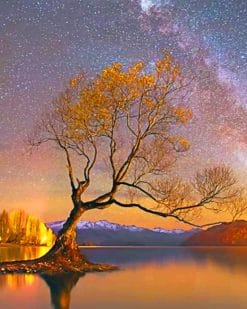 Wanaka Lake Night Sky paint by numbers