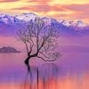 Wanaka Lake Sunset paint by numbers