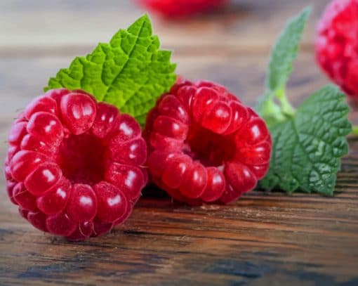 Wineberries paint by numbers