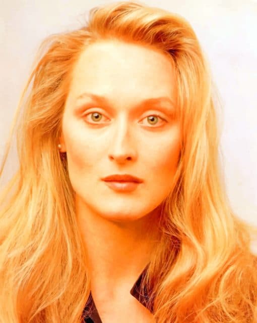 Young Meryl Streep paint by numbers