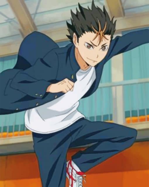 Aesthetic Yu Nishinoya Paint by numbers