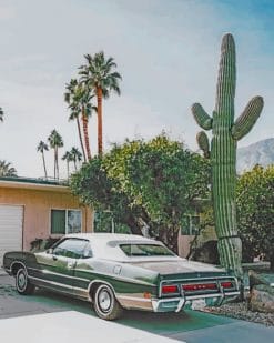 Aesthetic Cars And Cactus Paint by numbers