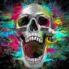 Aesthetic Skull paint by numbers