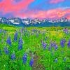 Alpine Meadow San Juan Mountains paint by numbers