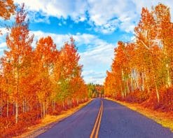 Autumn Road paint by numbers