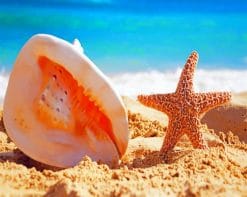 Big Seashell and Starfish On Sand paint by numbers