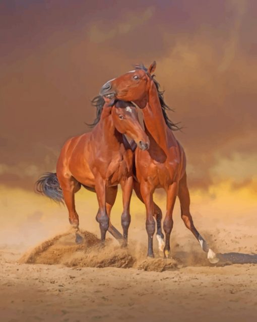 Brown Horses Paint by numbers