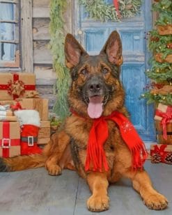 Christmas Puppy Paint by numbers