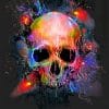 Splatter Skull Paint by numbers