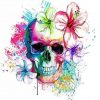 Colorful Skull paint by numbers