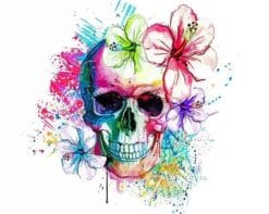 Colorful Skull paint by numbers