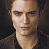 Edward Cullen Paint by numbers