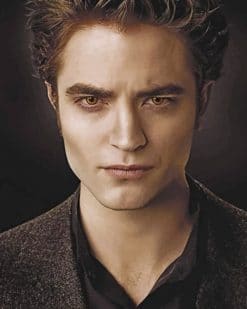 Edward Cullen Paint by numbers