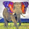 Elephant Insect Ears paint by numbers