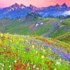 Flower Field With Mountains paint by numbers