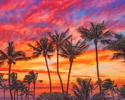 Hawaii Palm Sunset paint by numbers