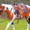 Horse With Saddles paint by numbers