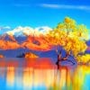 Lake Wanaka Tree paint by numbers