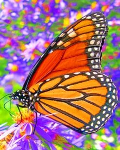 Monarch Butterfly paint by numbers