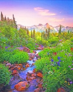 Mt Rainier Full Bloom paint by numbers