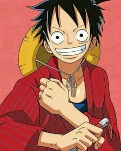 One Piece Luffy paint by numbers