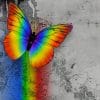 Rainbow Butterfly paint by numbers