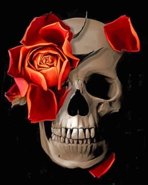 Skull And Flower Paint by numbers