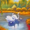 Swans Birds Paint by numbers