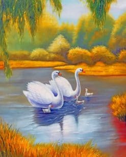 Swans Birds Paint by numbers