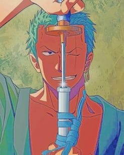 Zoro One Piece paint by numbers