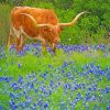 bluebonnet-and-longhorn-paint-by-number